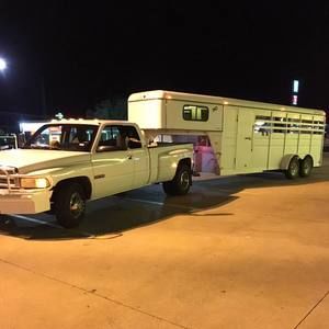 Meet your Posher, Frank